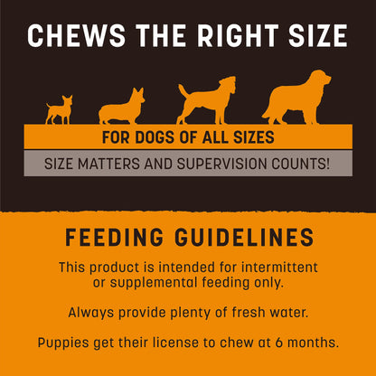 Earth Animal No Hide Strips Chicken Flavored Natural Treats | No Rawhide | Quick & Thin Dog Chews | 1.5 Oz