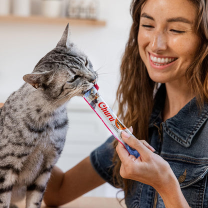 INABA Salmon Churu Cat Treats, Lickable, Squeezable Creamy Purée Cat Treat with Green Tea Extract & Taurine, 0.5 Ounces Each Tube, 24 Tubes (4 per Pack), Salmon Recipe