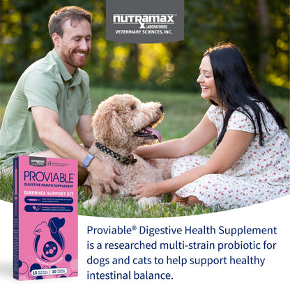 Nutramax Proviable Digestive Health Supplement Kit with Multi-Strain Probiotics and Prebiotics for Cats and Small Dogs, With 7-Strains of Bacteria, 15 mL Paste and 10 Capsules