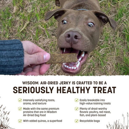 Earth Animal Wisdom Air-Dried Jerky From the Seed Recipe | Dog Treats | Dog Snacks | Premium Natural Plant-Based Jerky Strips | 4 oz |Made in the USA (Pack of 1)