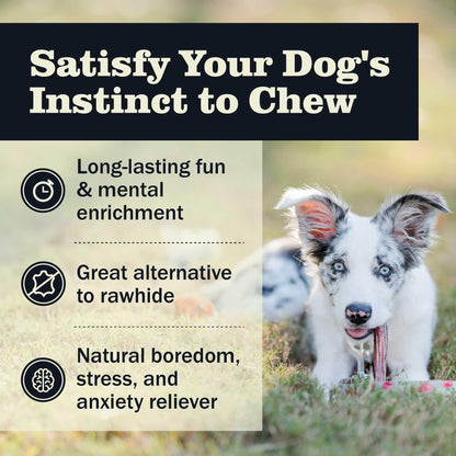 Redbarn Pet Products All Natural 4-5" Bully Sticks for Small & Medium Dogs - Healthy Long Lasting Chews Variety Party Pack - 100% Beef Single Ingredient Low Odor Rawhide Free - Bag, 12oz