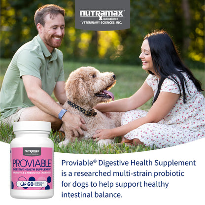 Nutramax Proviable Probiotics for Dogs, Daily Digestive Health Supplement with Multiple Strains of Bacteria, Dog Probiotics Plus Prebiotics, 60 Chewable Tablets