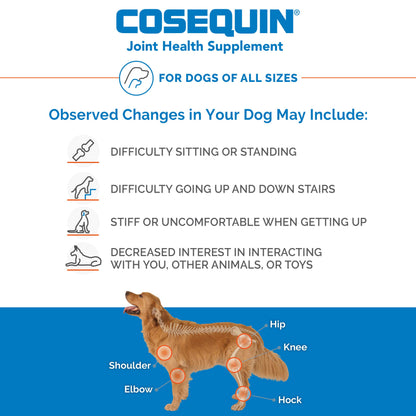 Nutramax Cosequin DS Joint Health Supplement for Dogs - With Glucosamine and Chondroitin, 250 Chewable Tablets