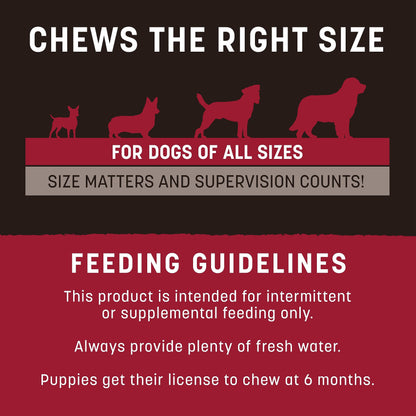 Earth Animal No Hide Strips Beef Flavored Natural Treats | No Rawhide | Quick & Thin Dog Chews | 1.5 Oz