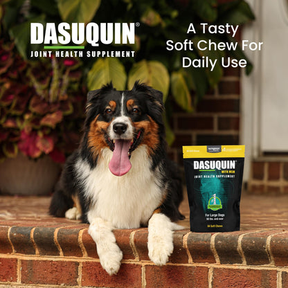 Nutramax Dasuquin Joint Health Supplement for Large Dogs - With Glucosamine, Chondroitin, ASU, MSM, Boswellia Serrata Extract, Green Tea Extract, 84 Soft Chews