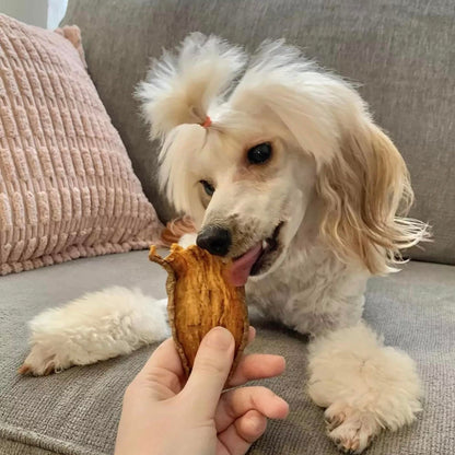 Pupford Crunchy Jerky Treats for Dogs & Puppies, Made in USA, Single Ingredient, No Fillers (Sweet Potato, 4 oz)