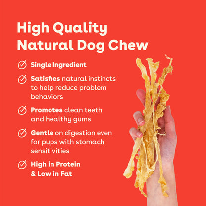 Pupford Turkey Tendon Dog Treats, High-Protein Chews for Healthy Teeth & Joints, Single Ingredient, Grain-Free, Made in USA (2.5 oz)