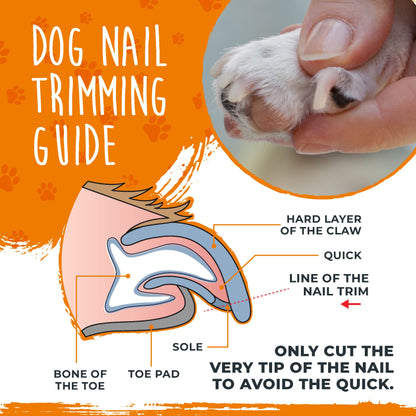 Mighty Paw Dog Nail Clippers - Dog Claw Clippers - Pet Claw Trimming and Grooming Set - Built-in Safety Guard - Sharp Stainless Steel Blade - Ergonomic Handle - Nail Trimmer - Paw Trimmer (Orange)