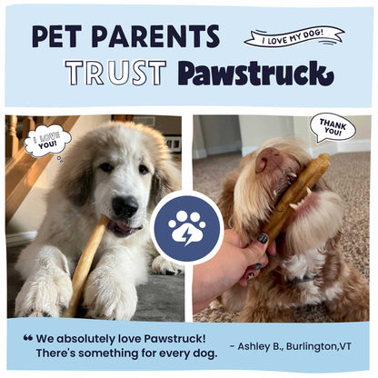 Pawstruck 2-in-1 Collagen Wrapped Jerky Natural Treats for Dogs - 5 Large Sticks - Limited Ingredient Grain Free Long Lasting for Small, Medium, and Large Dogs