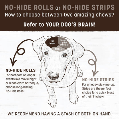 Earth Animal No Hide Large Beef Flavored Natural Rawhide Free Dog Chews Long Lasting Chew Sticks | Treats for Large Dogs | Great for Aggressive Chewers, 7 oz
