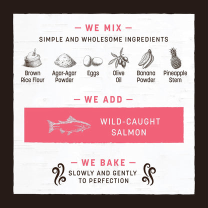 Earth Animal No Hide Strips Salmon Flavored Natural Treats | No Rawhide | Quick & Thin Dog Chews | 1.5 Oz