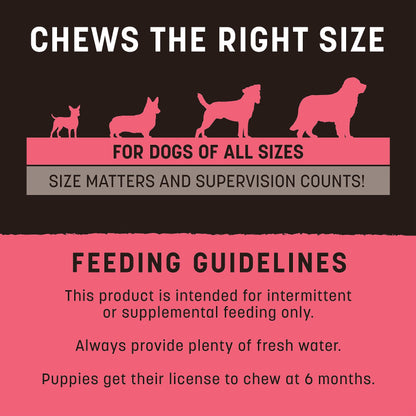 Earth Animal No Hide Strips Salmon Flavored Natural Treats | No Rawhide | Quick & Thin Dog Chews | 1.5 Oz