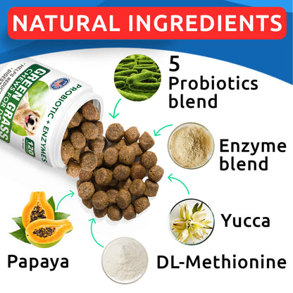 BARK&SPARK All-Natural Grass Burn Spot Chews for Dogs - Pee Lawn Spot Saver - Grass Restore Treats - Dog Urine Neutralizer Solution for Grass Burn Spots - Made in USA - 120 Chews