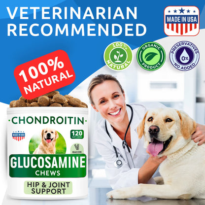 Glucosamine Chondroitin Dog Hip & Joint Supplement - Joint Pain Relief - Hip & Joint Chews for Dogs - Joint Support Large Breed - Senior Doggie Vitamin Pills Joint Health - (240 Treats - Bacon)