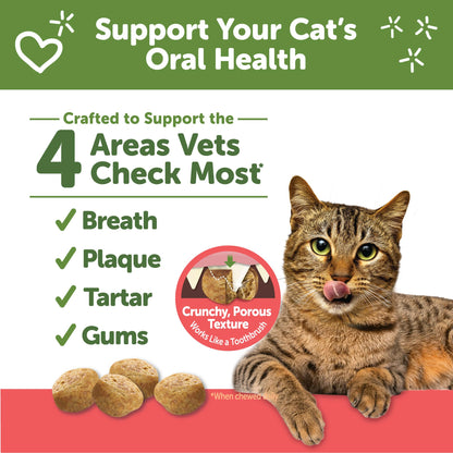 WHIMZEES Wellness Cat Dental Treats, Natural Chews, Chicken and Salmon Flavor, (2 Ounce Bag)