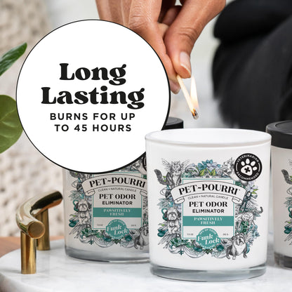Poo-Pourri Pawsitively Fresh Pet Deodorizer Candle – Pet Safe Plant Based Ingredients & Wax – Vet Approved – Aromatherapy & Air Freshener for Pet Odor – Scented with Pineapple, Jasmine, & Pear
