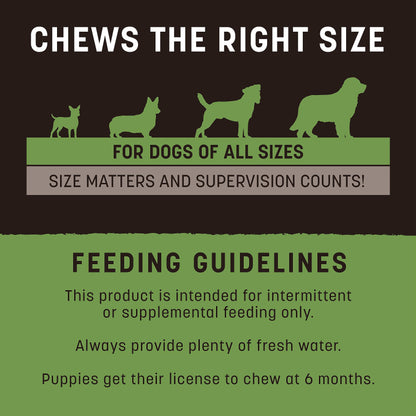 Earth Animal No Hide Strips Pork Flavored Natural Treats | No Rawhide | Quick & Thin Dog Chews | 1.5 Oz