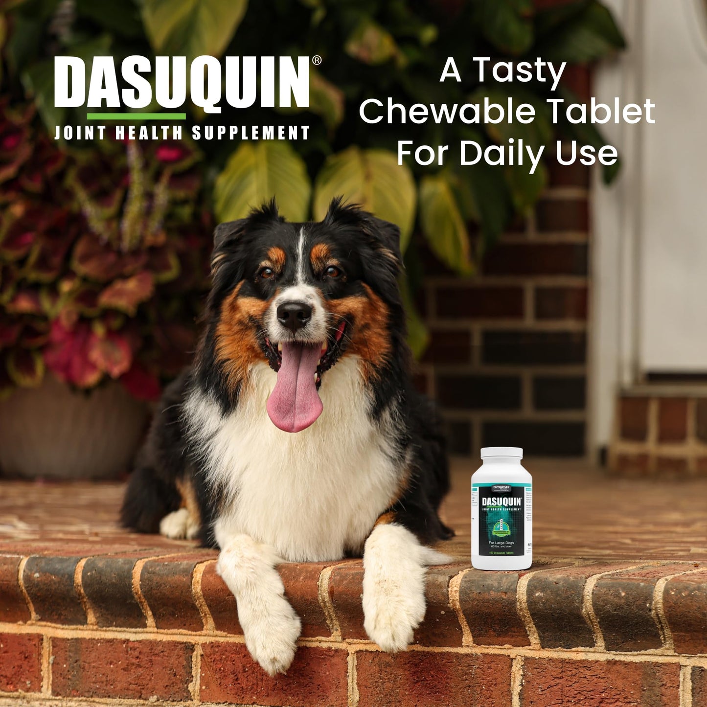 Nutramax Dasuquin for Large Dogs, Joint Health Supplement, Contains Glucosamine for Dogs, Plus Chondroitin, ASU and More, Supports Healthy Joints, Chewable Tablets, 150 Count