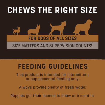Earth Animal No Hide Strips Venison Flavored Natural Treats | No Rawhide | Quick & Thin Dog Chews | 1.5 Oz