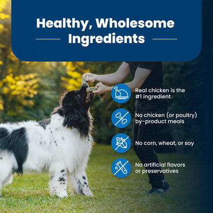 Blue Buffalo Life Protection Formula Natural Adult Dry Dog Food, Chicken and Brown Rice 5-lb Trial Size Bag