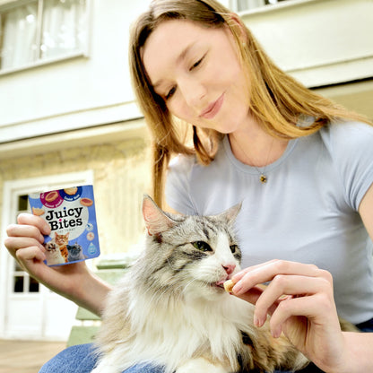 INABA Juicy Bites, Moist & Chewy Cat Treats with Vitamin E and Green Tea Extract, 0.4 Ounces per Pouch, 18 Pouches (3 per Bag), Fish and Clam