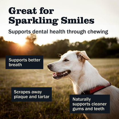 Redbarn Pet Products All Natural 5-8" Bully Sticks for Small & Large Dogs - Healthy Long Lasting Chews Variety Party Pack - 100% Beef Single Ingredient Low Odor Rawhide Free Dental Treats - 8 oz Bag