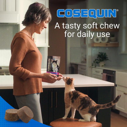Nutramax Cosequin for Cats Joint Health Supplement, Contains Glucosamine for Cats, Plus Chondroitin and Omega-3s, Supports Joint and Skin and Coat Health, Soft Chews, 60 Count