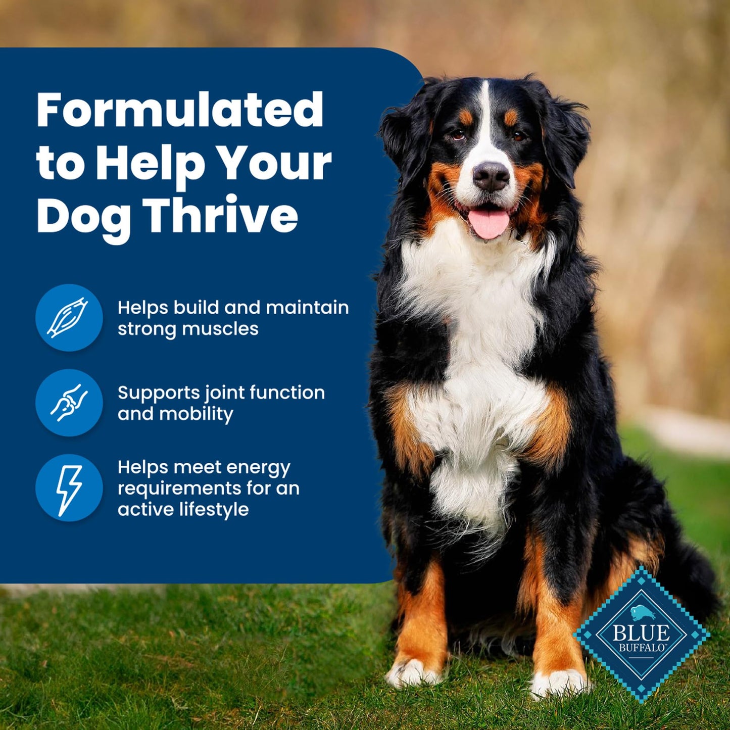 Blue Buffalo Life Protection Formula Natural Adult Dry Dog Food, Chicken and Brown Rice 5-lb Trial Size Bag