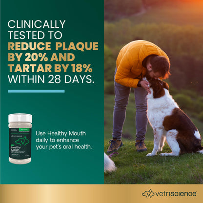 VetriScience Healthy Mouth Dog Dental Powder, Perio Support Clinically Tested Dental Powder for Dogs and Cats, Freshen Breath, Control Plaque & Tartar, Oral Health, 4.2 oz