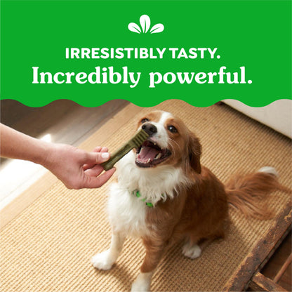 Greenies Original Petite Dental Dog Treats, 12 oz. Pack (20 Treats)
