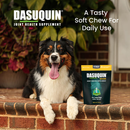 Nutramax Laboratories Dasuquin with MSM Joint Health Supplement for Large Dogs - With Glucosamine, MSM, Chondroitin, ASU, Boswellia Serrata Extract, and Green Tea Extract, 150 Soft Chews
