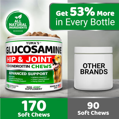 YUMA'S Glucosamine for Dogs - Hip and Joint Supplement for Dogs - 170 Ct - Glucosamine Chondroitin Chews - Joint Pain Relief Supplement with MSM - Advanced Health - Mobility Support - Made in USA