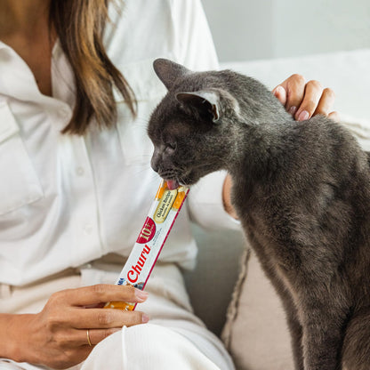 INABA Churu for Senior 10+, Creamy Lickable Cat Treats with Taurine, Vitamin E & C, 0.5 Ounces Each, 24 Tubes (4 per Pack), Tuna with Salmon Recipe