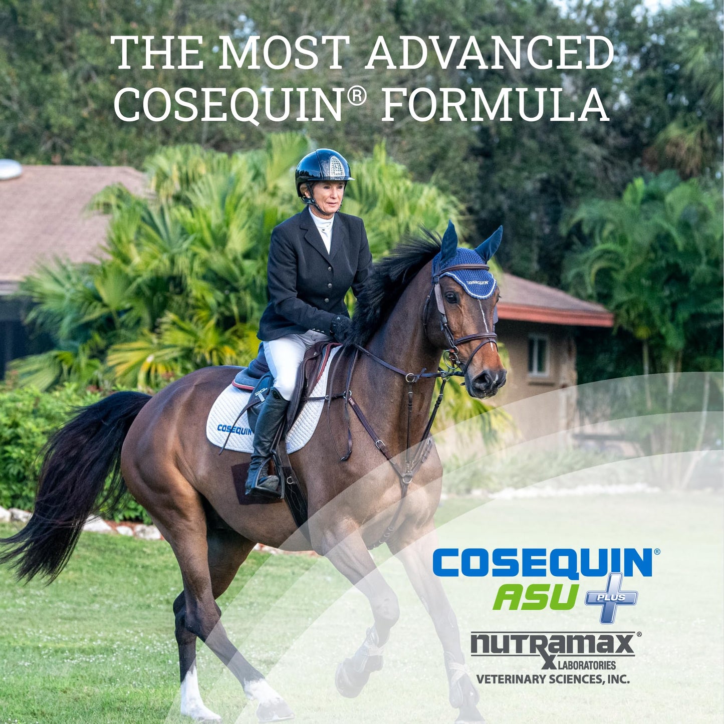 Nutramax Cosequin ASU Joint Health Supplement for Horses - Powder with Glucosamine, Chondroitin, MSM, ASU, Green Tea Extract, and Hyaluronic Acid, 1050 Grams
