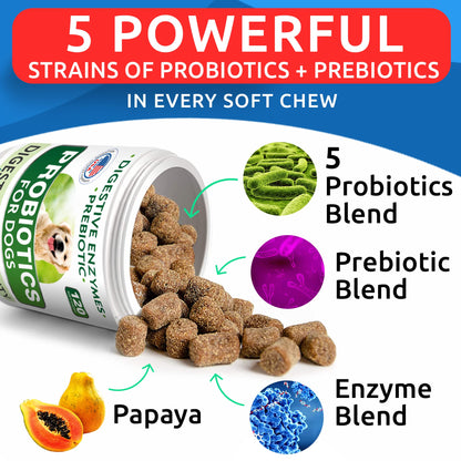 BARK&SPARK Dog Probiotics & Digestive Enzymes (Gut Health) Allergy & Itchy Skin - Pet Diarrhea Gas Treatment Upset Stomach Relief, Digestion Health Prebiotic Supplement Dog Treats (240Ct Chicken)