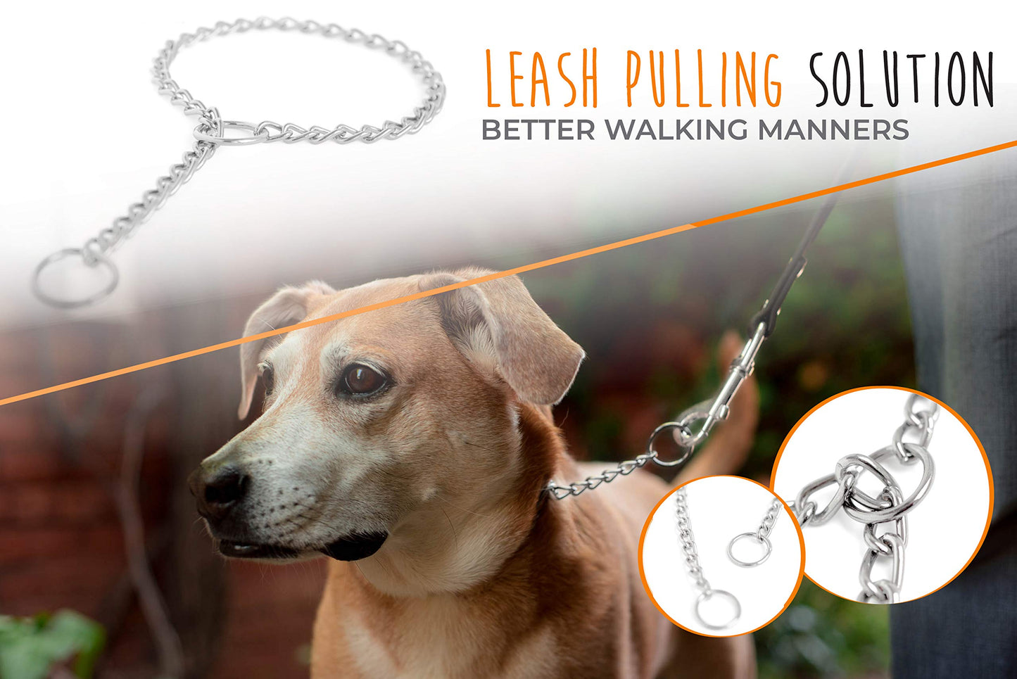 Mighty Paw Slip Collar - Stainless Steel - Weather Resistant - Tarnish Proof - Durable Chain Dog Choke Collars - No Pull Dogs Training - Strong and Premium - Metal Chain (16")