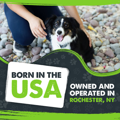 Mighty Paw Ultra Soft Dog Collar - Ultimate Comfort with Super Soft Neoprene Padding for Large and Small Dogs - Stay Safe and Visible with Reflective Threading - Fun in All Climates