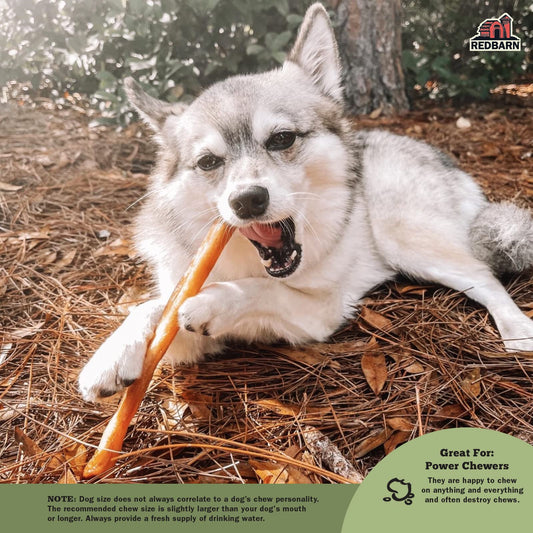 Redbarn Pet Products Natural Large Collagen Sticks for Dogs - Long Lasting Alternative to Traditional Rawhide & Bully - Supports Joint, Skin, & Coat Health - Case of 35