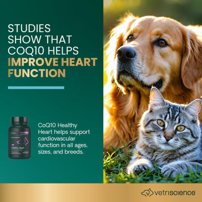 VetriScience CoQ10 Healthy Heart Easy-Open Capsules, 10mg Coenzyme Q10 Cardio and Healthy Aging Supplement for Dogs and Cats, Heart Support Supplement, 100 Count