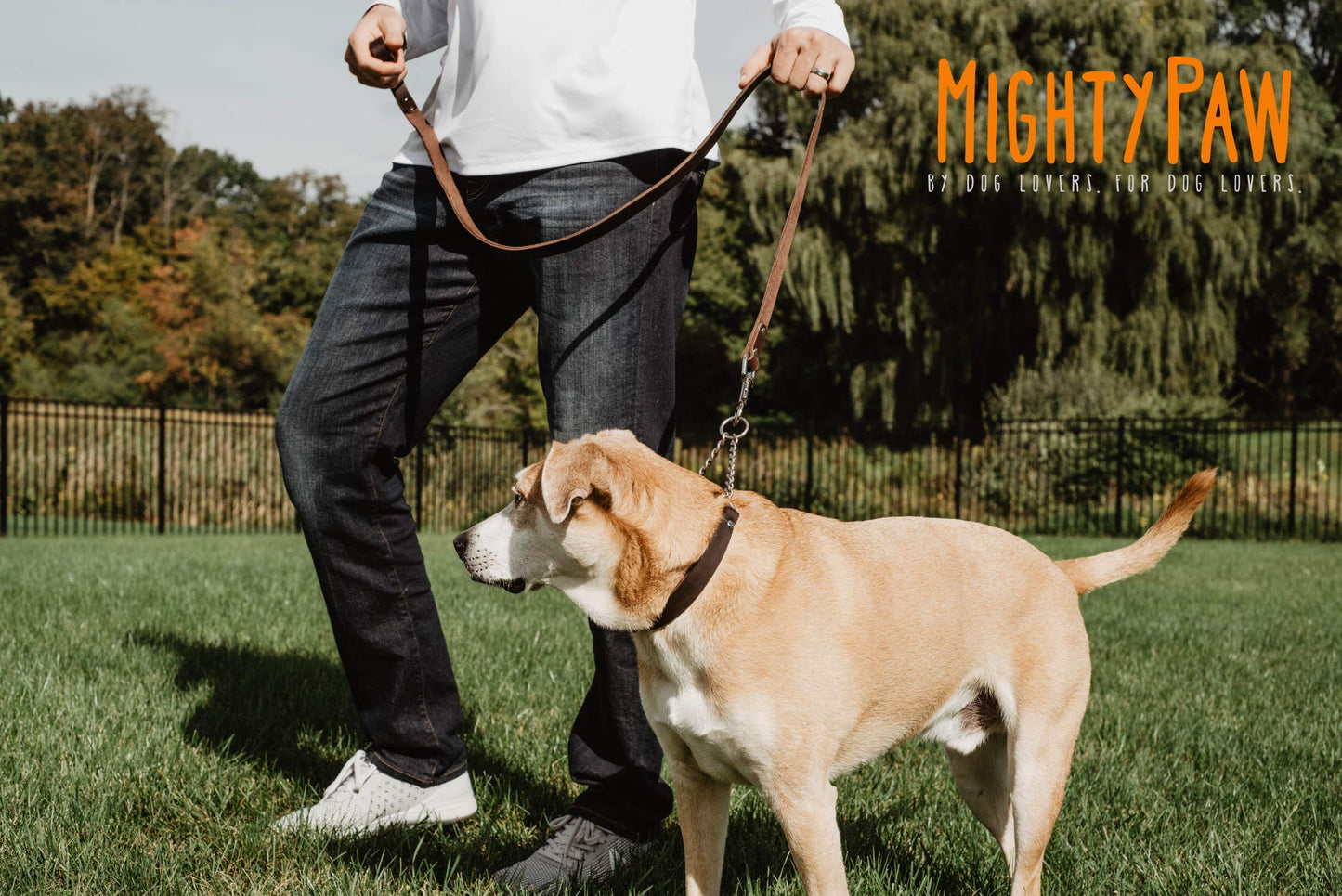 Mighty Paw Martingale Dog Collar - No Pull Design - Stainless Steel Chain - Limited Chain Cinch Training - Brown Leather Martingale Training Collar - Small Size