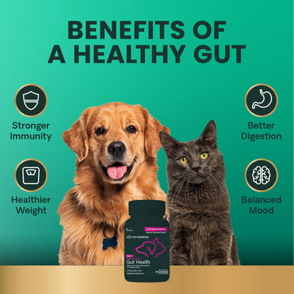 VetriScience Extra Strength Gut Health Easy-Open Capsules, Mega Probiotic and Prebiotic Digestive Supplement for Dogs and Cats, for Diarrhea and Immune Support, 7.5 Billion CFU Per Capsule, 120 Count