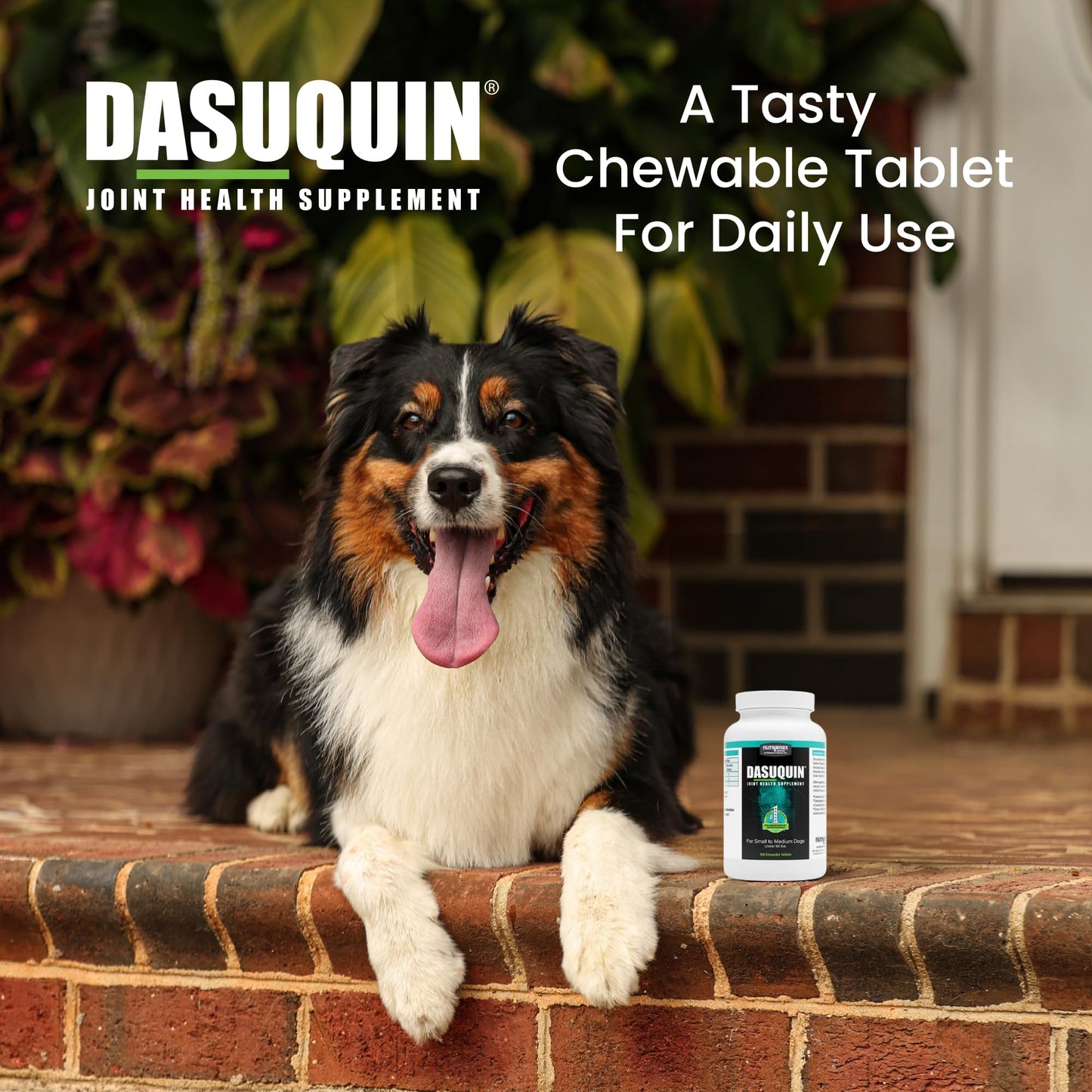 Nutramax Dasuquin for Small to Medium Dogs, Joint Health Supplement, Contains Glucosamine for Dogs, Plus Chondroitin, ASU and More, Supports Healthy Joints, Chewable Tablets, 150 Count