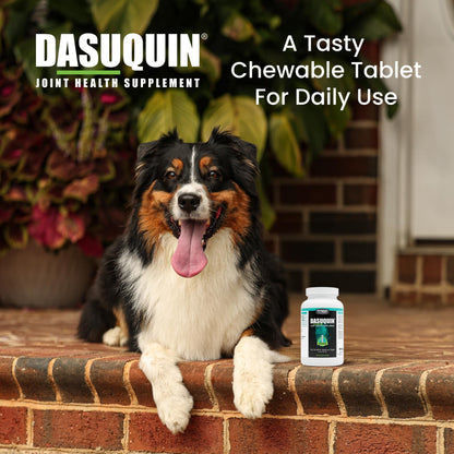 Nutramax Dasuquin for Small to Medium Dogs, Joint Health Supplement, Contains Glucosamine for Dogs, Plus Chondroitin, ASU and More, Supports Healthy Joints, Chewable Tablets, 150 Count