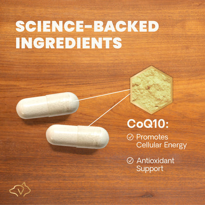 VetriScience CoQ10 Healthy Heart Easy-Open Capsules, 10mg Coenzyme Q10 Cardio and Healthy Aging Supplement for Dogs and Cats, Heart Support Supplement, 100 Count