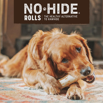 Earth Animal No Hide Medium Beef Flavored Natural Rawhide Free Dog Chews Long Lasting Chew Sticks | Treats for Large Dogs | Great for Aggressive Chewers 4.2 Oz