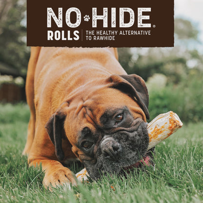 Earth Animal No Hide Large Beef Flavored Natural Rawhide Free Dog Chews Long Lasting Chew Sticks | Treats for Large Dogs | Great for Aggressive Chewers, 7 oz