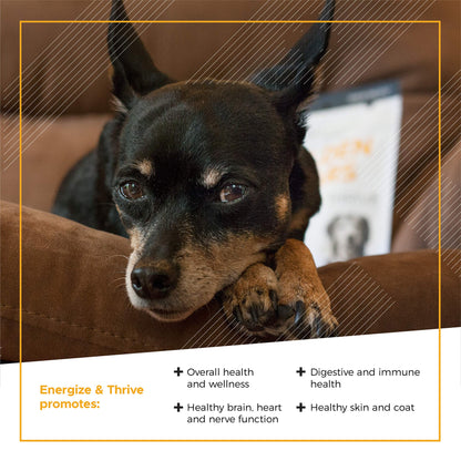 VetriScience Extra Strength Senior 27+ Active Health Chews, Golden Years Daily Multivitamin for Senior Dogs, Balanced Vitamins, Minerals, and Omega-3s, Aging and Wellness Support, Chicken, 60 Count