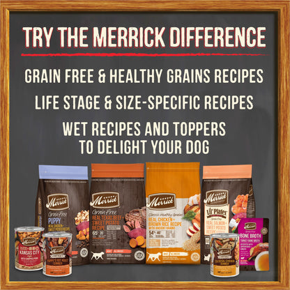 Merrick Grain Free Wet Puppy Food, Premium Soft And Gluten Free Canned Dog Food, Puppy Plate Beef Recipe - (Pack of 12) 12.7 oz. Cans