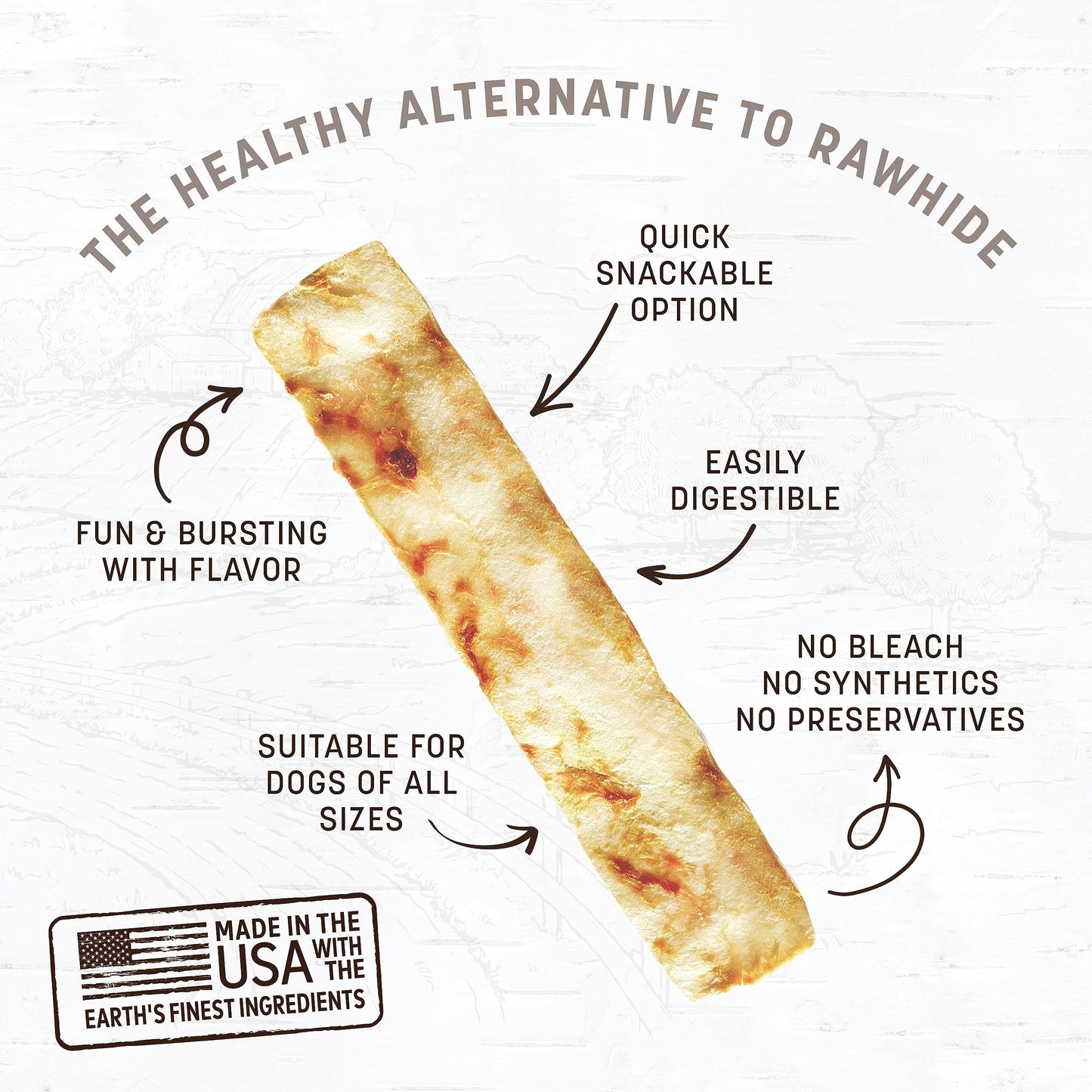 Earth Animal No Hide Strips Pork Flavored Natural Treats | No Rawhide | Quick & Thin Dog Chews | 1.5 Oz