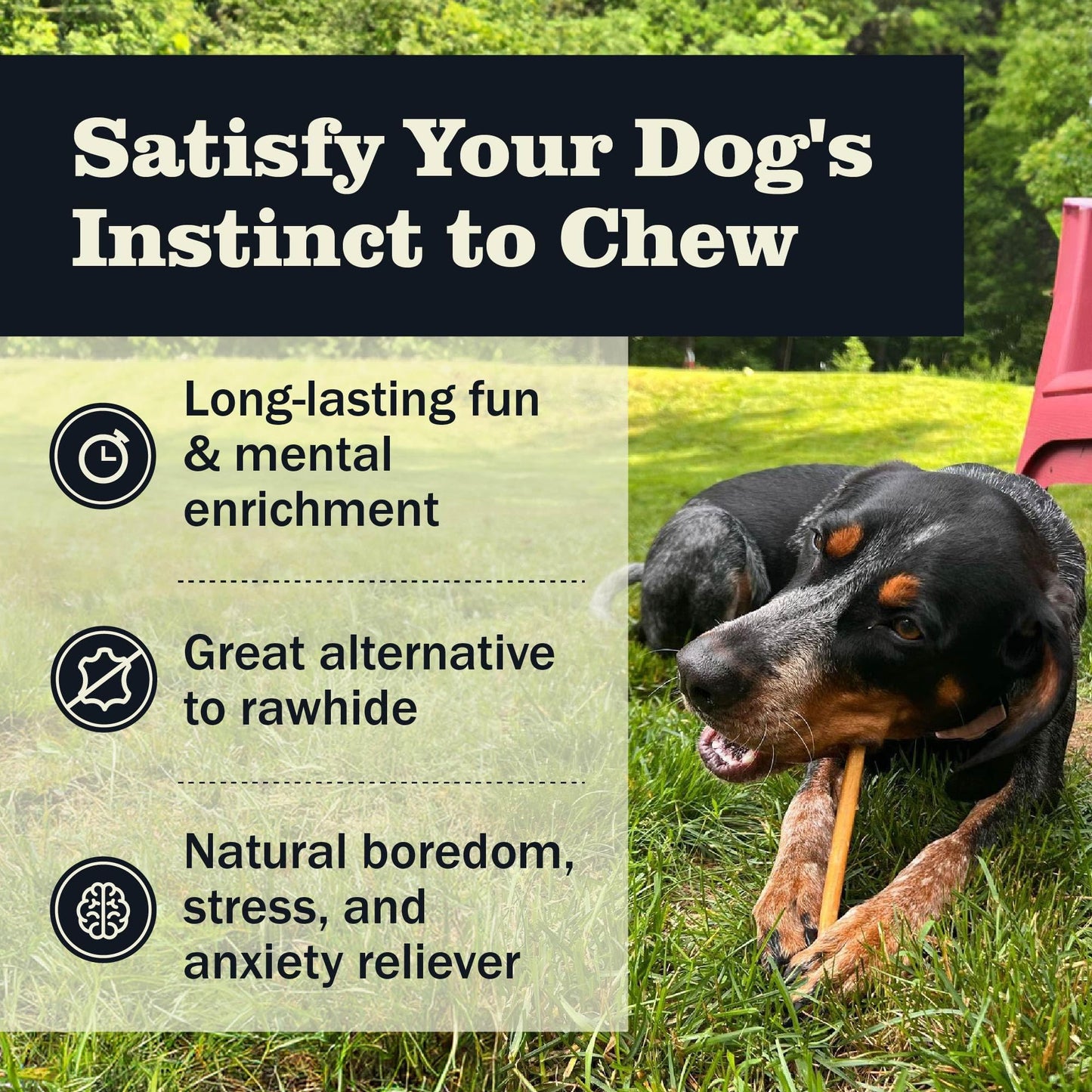 Redbarn Pet Products 7 Inch Bully Sticks - Case of 35 - Naturally Low Odor Long Lasting 100% Beef Chews for Medium Large Dogs & Puppies - Best Single Ingredient Treat Reward